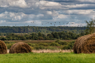 Hay bales on field against sky