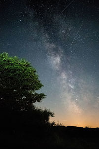 Low angle view of silhouette trees against sky at night