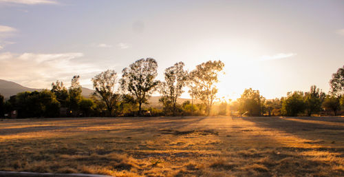 Road amidst field against sky during sunset