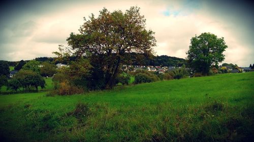 Scenic view of grassy field against cloudy sky