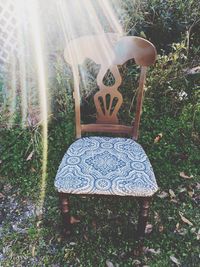 sunlight