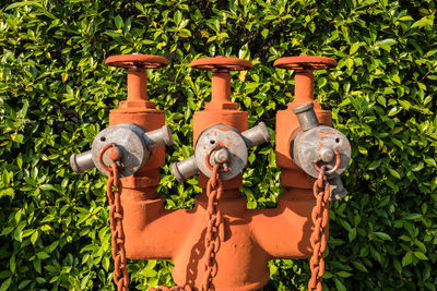 Close-up of orange metallic pipes against plant