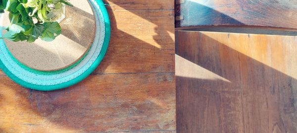 High angle view of potted plant on table