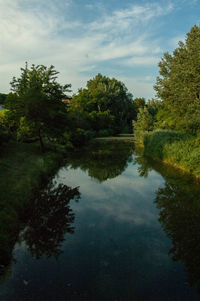 Scenic view of lake in forest against sky