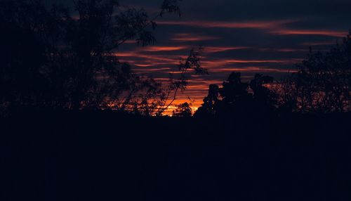 Silhouette trees against sky during sunset