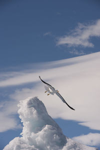 Low angle view of airplane flying against sky