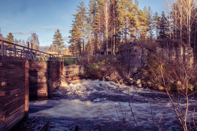 River flowing by trees against sky