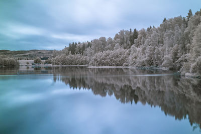 Reflection of trees in lake against sky