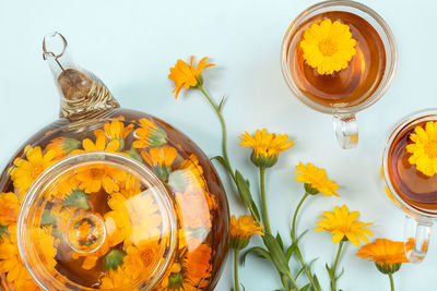 High angle view of yellow flowering plant on table