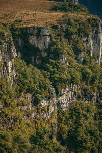 Fortaleza canyon with steep rocky cliffs covered by forest and waterfall in cambara do sul. brazil.