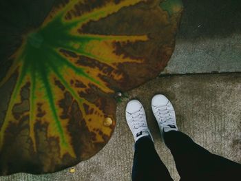 Low section of person standing on leaves during autumn