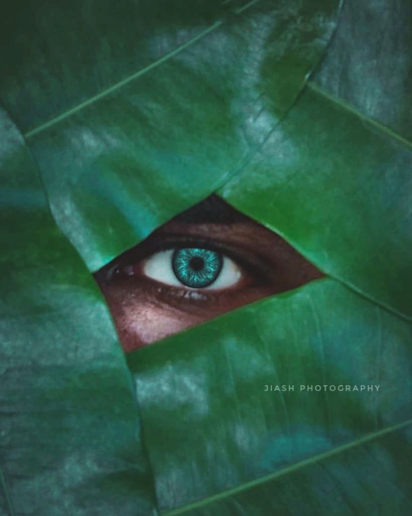 green, eye, human eye, one person, portrait, mystery, close-up, looking at camera, adult, peeking, hiding, human face, spooky, young adult, leaf, fear, looking, sensory perception, plant part, horror, digital composite, front view, headshot, studio shot