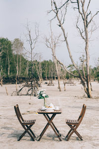 Picnic chair and table outdoor