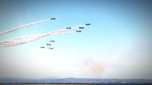 Birds flying over sea