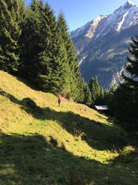 Woman walking on field amidst trees