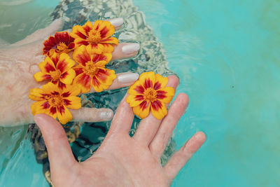 High angle view of hand holding flower in swimming pool