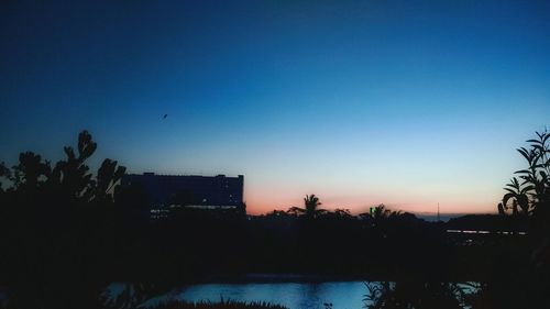 Silhouette trees against clear blue sky during sunset