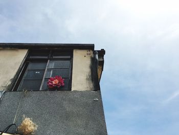 Low angle view of red flower against sky