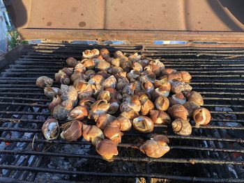 High angle view of meat on barbecue grill