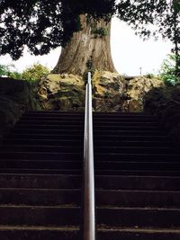 Low angle view of stairs