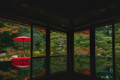 Trees in park seen through window