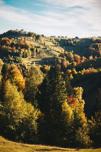 Scenic view of landscape and autumn trees against sky
