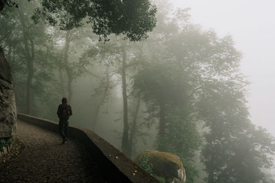 Rear view of man standing by tree in forest