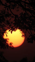 Low angle view of silhouette tree against orange sky