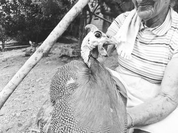 Midsection of woman holding bird