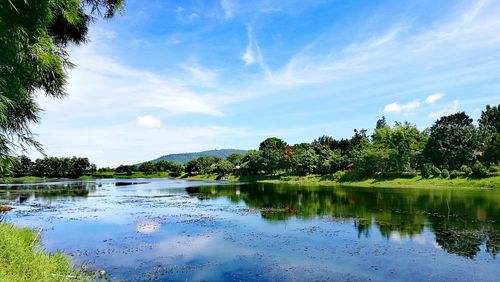 Reflection of trees in lake against sky