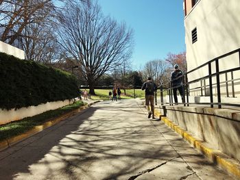 Walkway amidst trees against clear sky