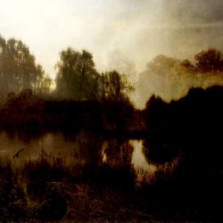 Scenic view of lake in forest