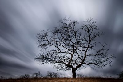 Silhouette bare tree on field against sky