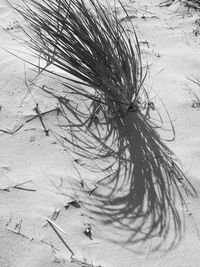 Close-up of sand