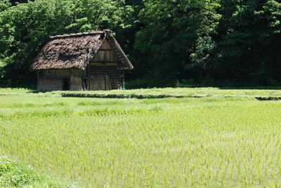 House on field against trees and plants