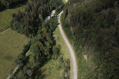 High angle view of road amidst trees in forest