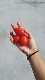 High angle view of person holding tomatoes