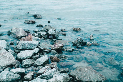 High angle view of rocks on sea shore