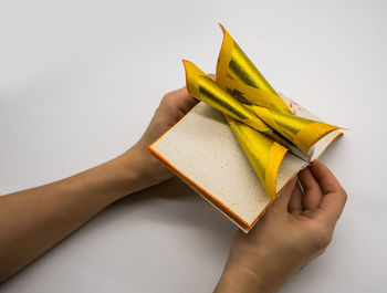 Close-up of hand holding leaf over white background