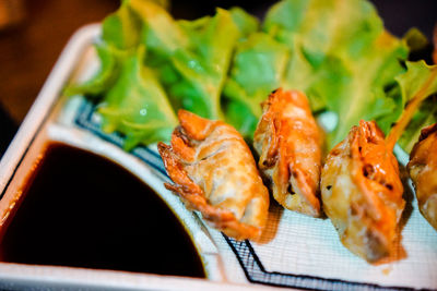 Close-up of served food in plate