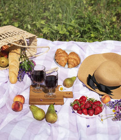 Romantic picnic scene on summer day. outdoor picnic with wine and a fruit in the open air 