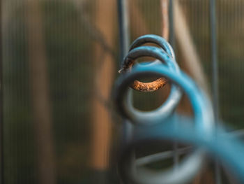 Close-up of chainlink fence