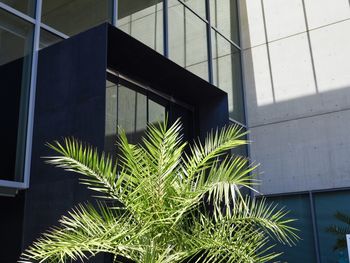 Low angle view of modern building