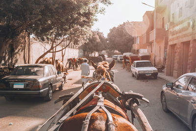 Cars on street in city