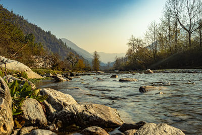 River flowing through misty mountain valley covered with dense forests and blue sky at dawn 