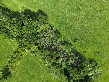 High angle view over english fields and woodland