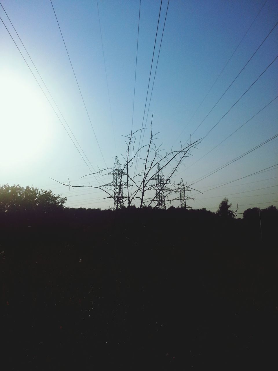 power line, silhouette, electricity pylon, electricity, power supply, cable, sunset, tranquility, landscape, connection, tranquil scene, sky, clear sky, nature, scenics, field, tree, fuel and power generation, beauty in nature, dusk