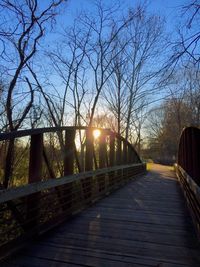 Footpath passing through bare trees