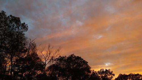Low angle view of silhouette trees against dramatic sky