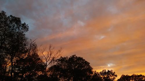 Low angle view of silhouette trees against dramatic sky